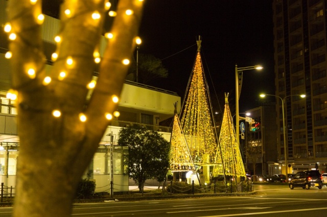 Kinpaku Kirara (Gold Leaf Yukitsuri) & Tree Fantasy Illumination