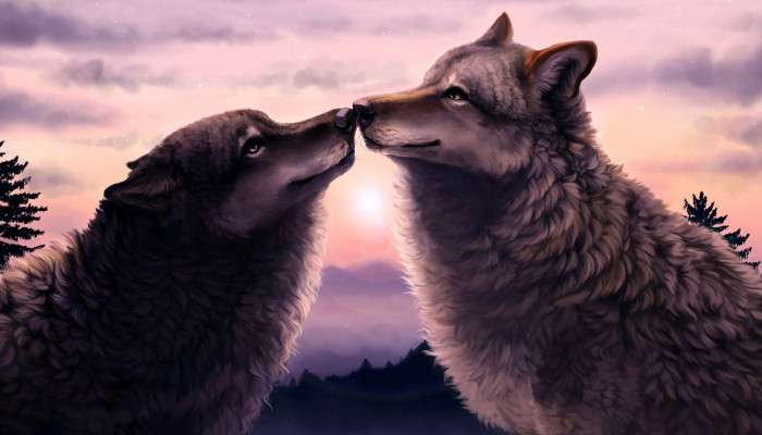 Wolf Love Wallpaper