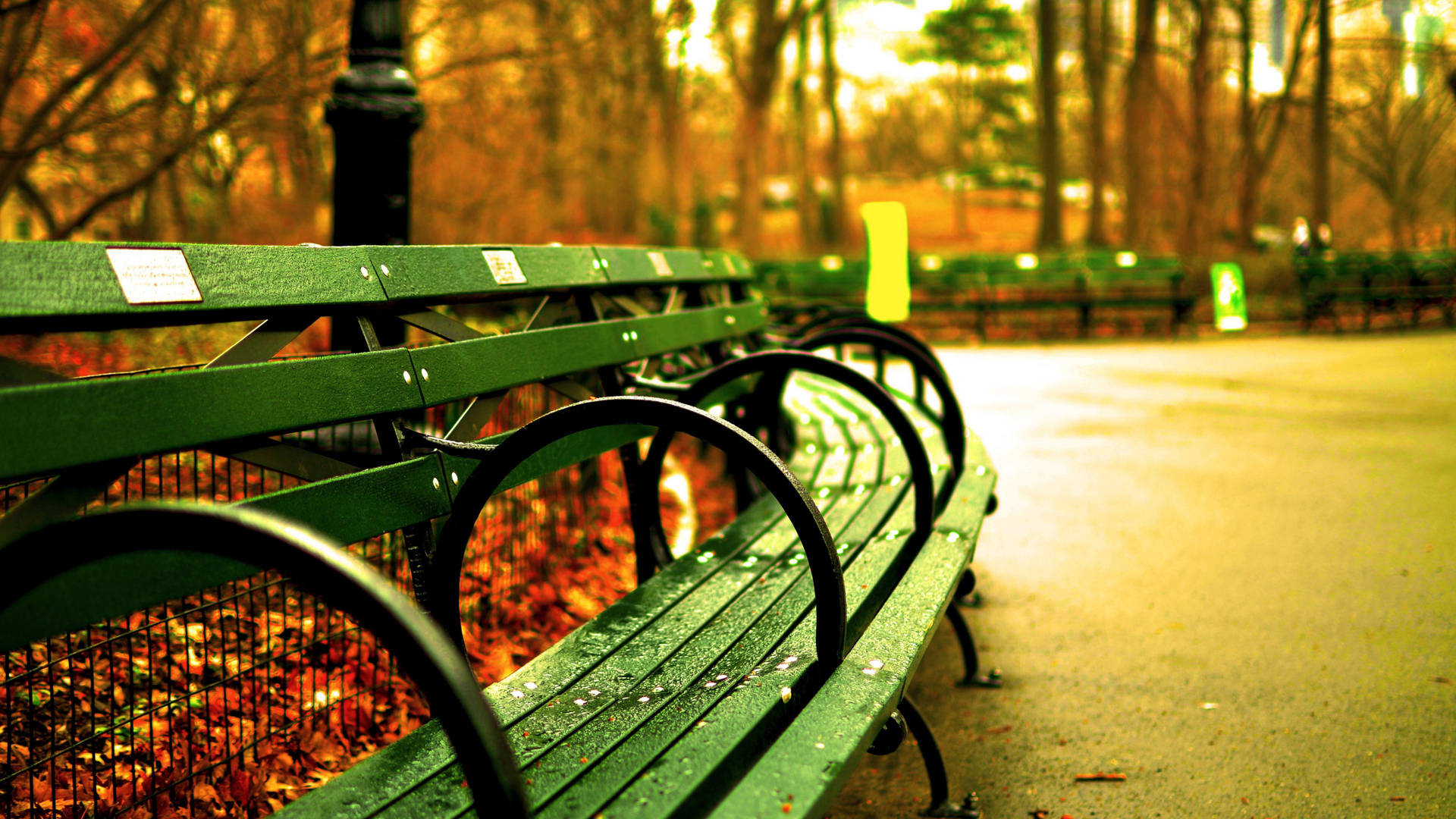 8k Desktop Park Bench Wallpaper