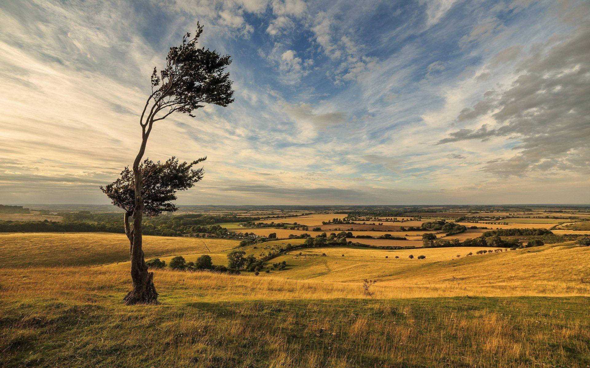 A beautiful, serene yet windy mountain vista Wallpaper