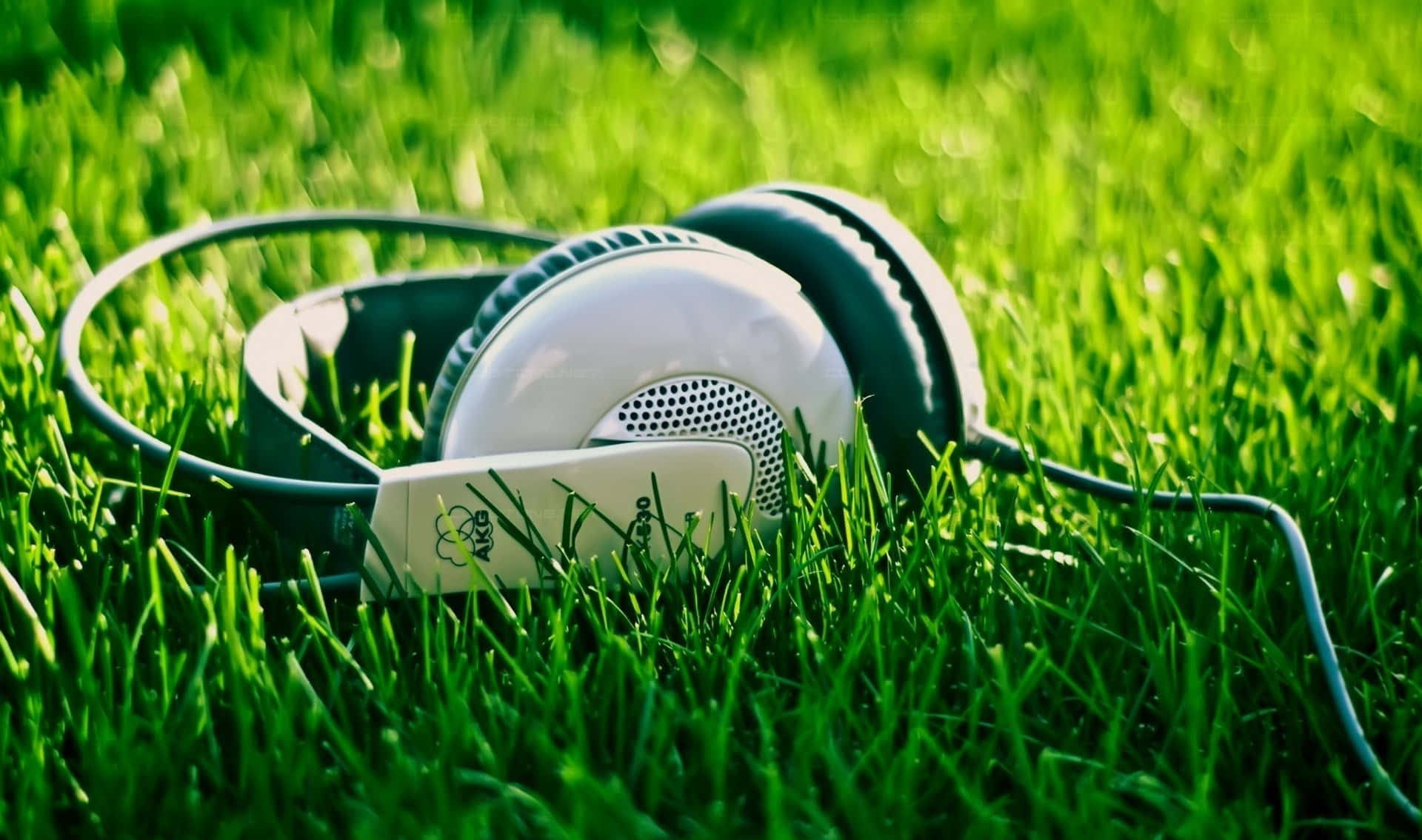 Headphonesin Grass Sunlight Wallpaper