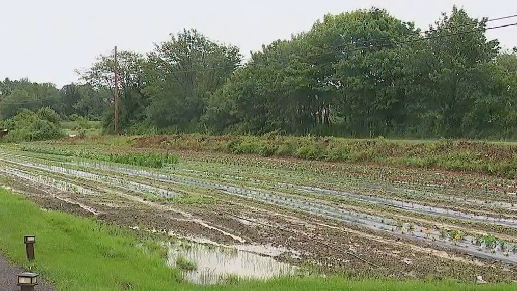 After years of spreading wastewater sludge laced with PFAS on Maine farms, it's only recently that the public has started realizing the impact on the health and livelihood of local farmers. (WGME)