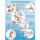 Basic Life Support, 4006725 [VR1770UU], Accessoires de RCP