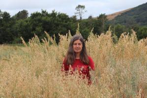 Dr Catherine Howarth, IBERS, Aberystwyth University