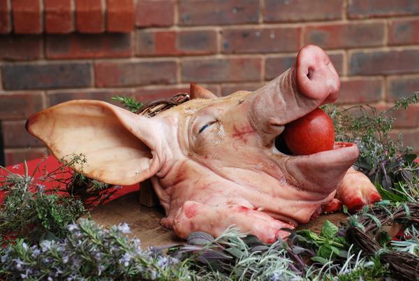 A pigs head with an apple in its mouth at a Medieval style banquet.