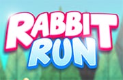 Rabbit Run