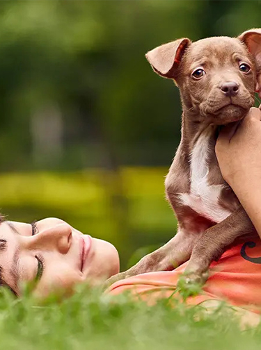 Boy with puppy on grass mobile