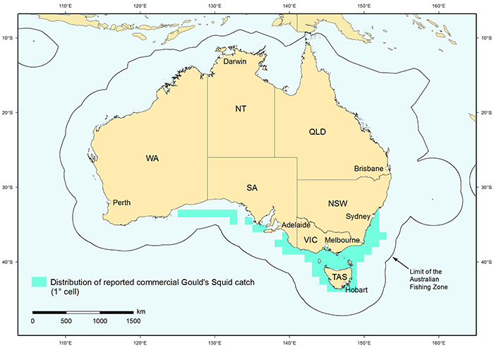 Goulds squid map