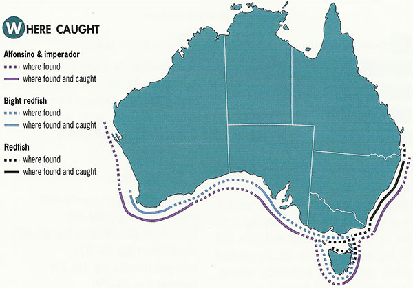 Redfish catch map