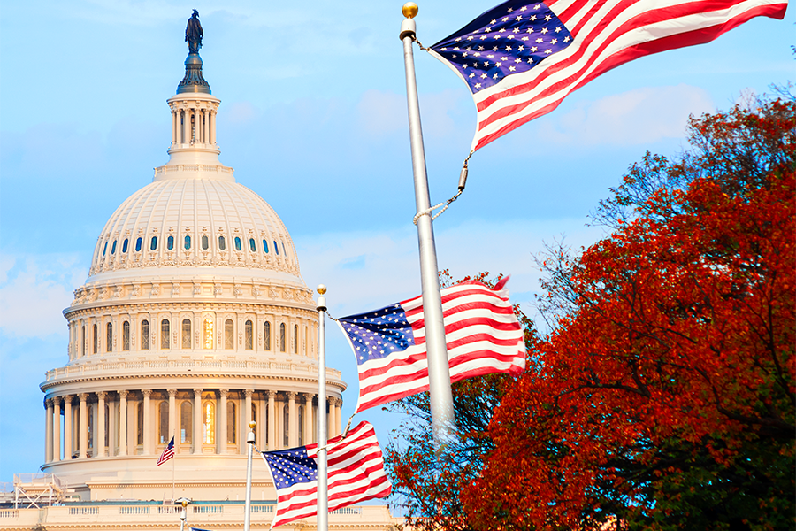 The U.S. Capitol building with United States flags flying in front of it.