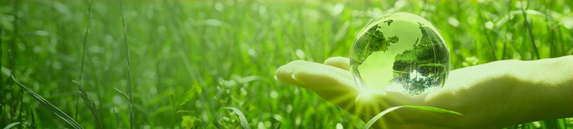 Banner Image - Glass Earth sitting in a hand over tall grass