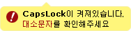 Capslock이 켜져있습니다.