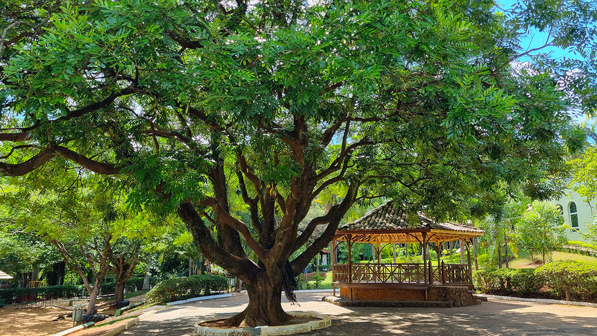 Parque Ecológico Municipal 'Cid Almeida Franco'