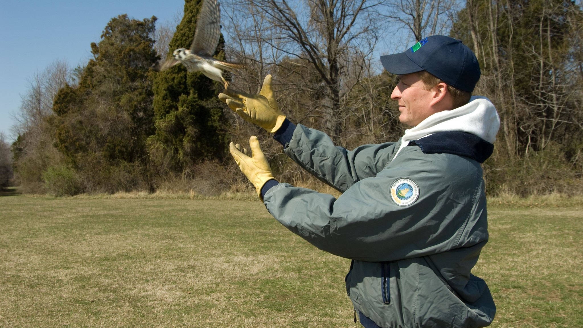 Bird flies away after man releases it.