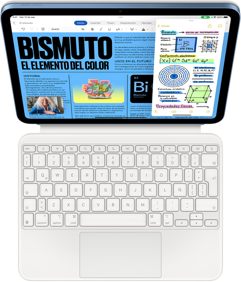 Apps Microsoft Word, Notas y una imagen en miniatura de una llamada de FaceTime con Slide Over en un iPad.