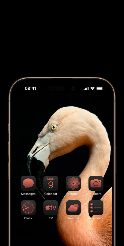 iPhone 16 screen with a dynamic side-profile photo of a pink flamingo and widgets tinted pink to match.