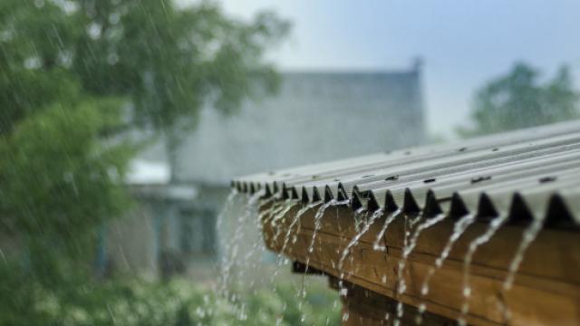 Rainy roof