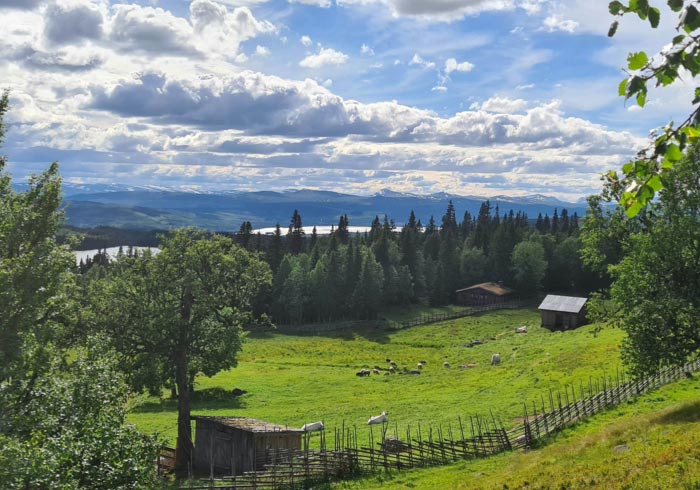 Summer farms are inextricably linked to the ancient Swedish singing tradition of kulning