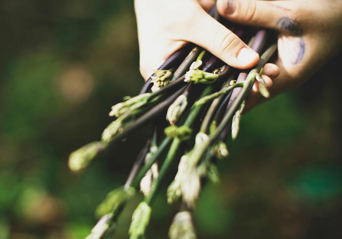 Ana Roš cooks with herbs and spices harvested from Hiša Franko’s own garden