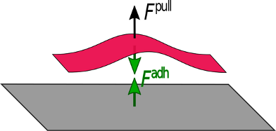 Graphical Abstract