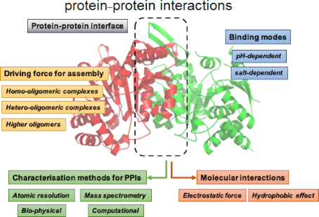 Graphical Abstract