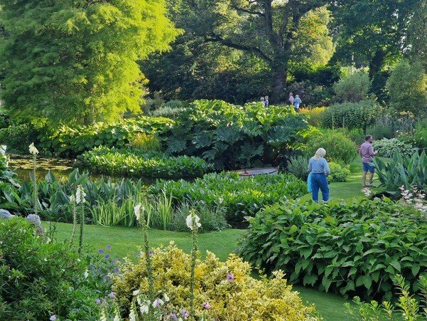 The Scree Garden