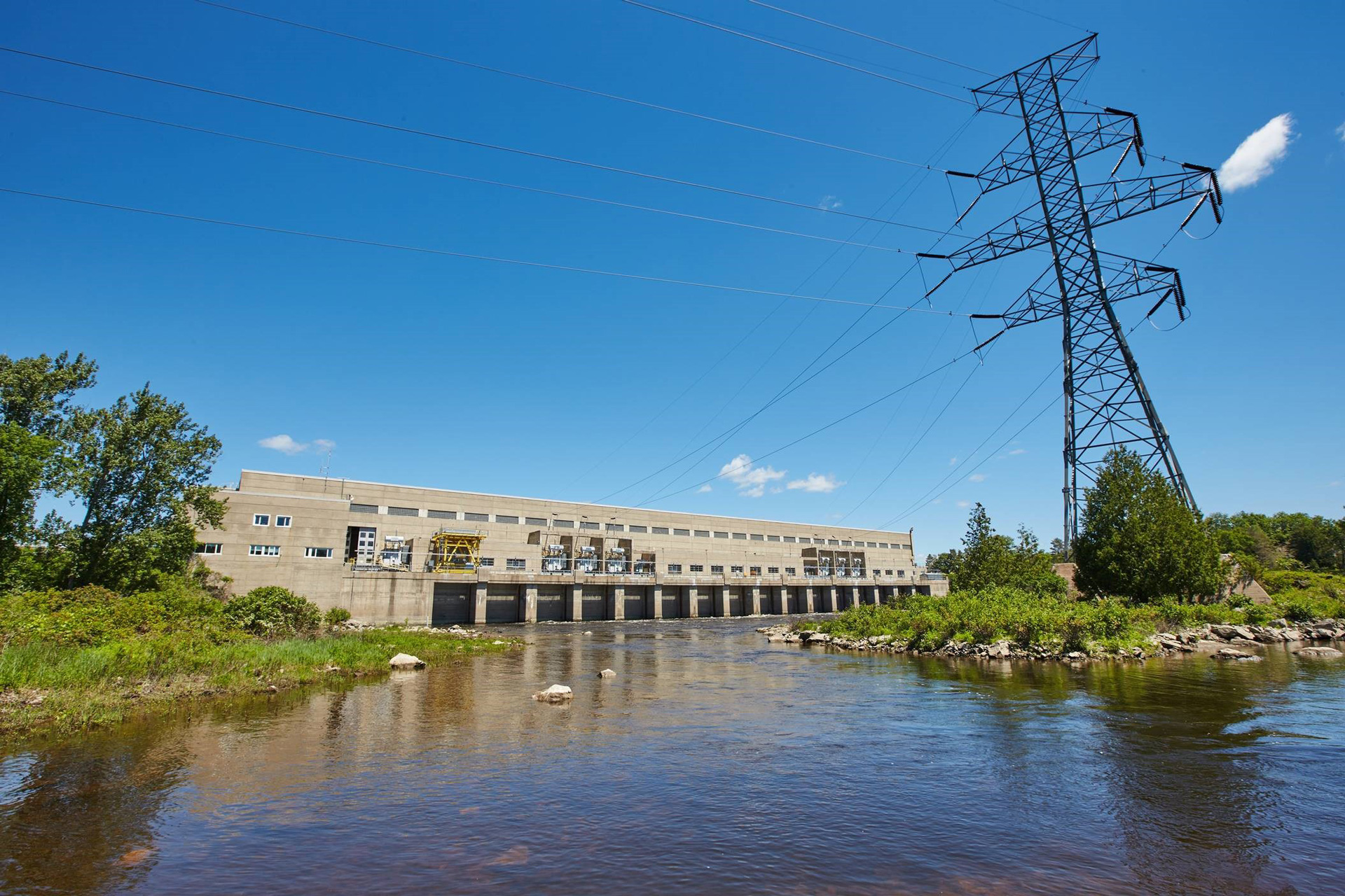 Bird_HydroElectric_Slider