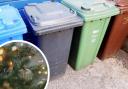 There will be changes to bin collection dates