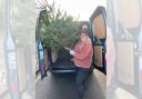 Diverse Abilities opens bookings for its tenth annual Christmas tree recycling service