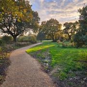 This project also provides valuable new facilities for our community, such as accessible walking paths, a dog training area and a community orchard