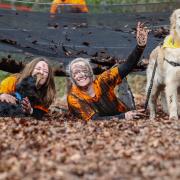 Muddy Dog Dash