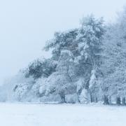 Bournemouth, Christchurch and Poole have been included in a yellow weather warning area for snow.