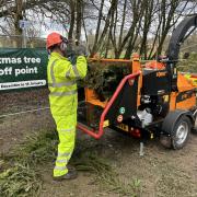 New Forest District Council has recycled more than 2,000 real Christmas trees