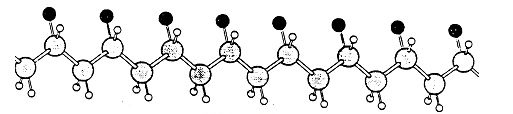 Isotactic Polypropylene Molecular Image