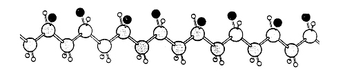 Syndiotactic Polypropylene Molecular Image