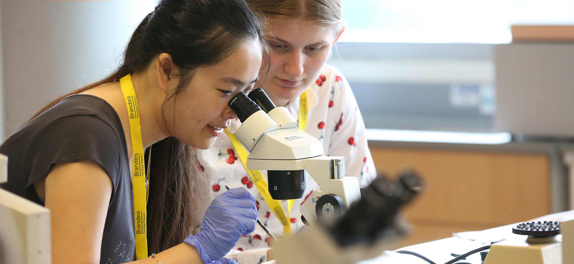 Two people in a lab, one using a microscope