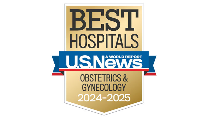 US News Best Hospitals Honor Roll logo