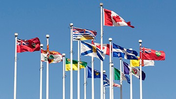 The National Flag of Canada and the flags of all provinces and territories at the top of their respective mast.