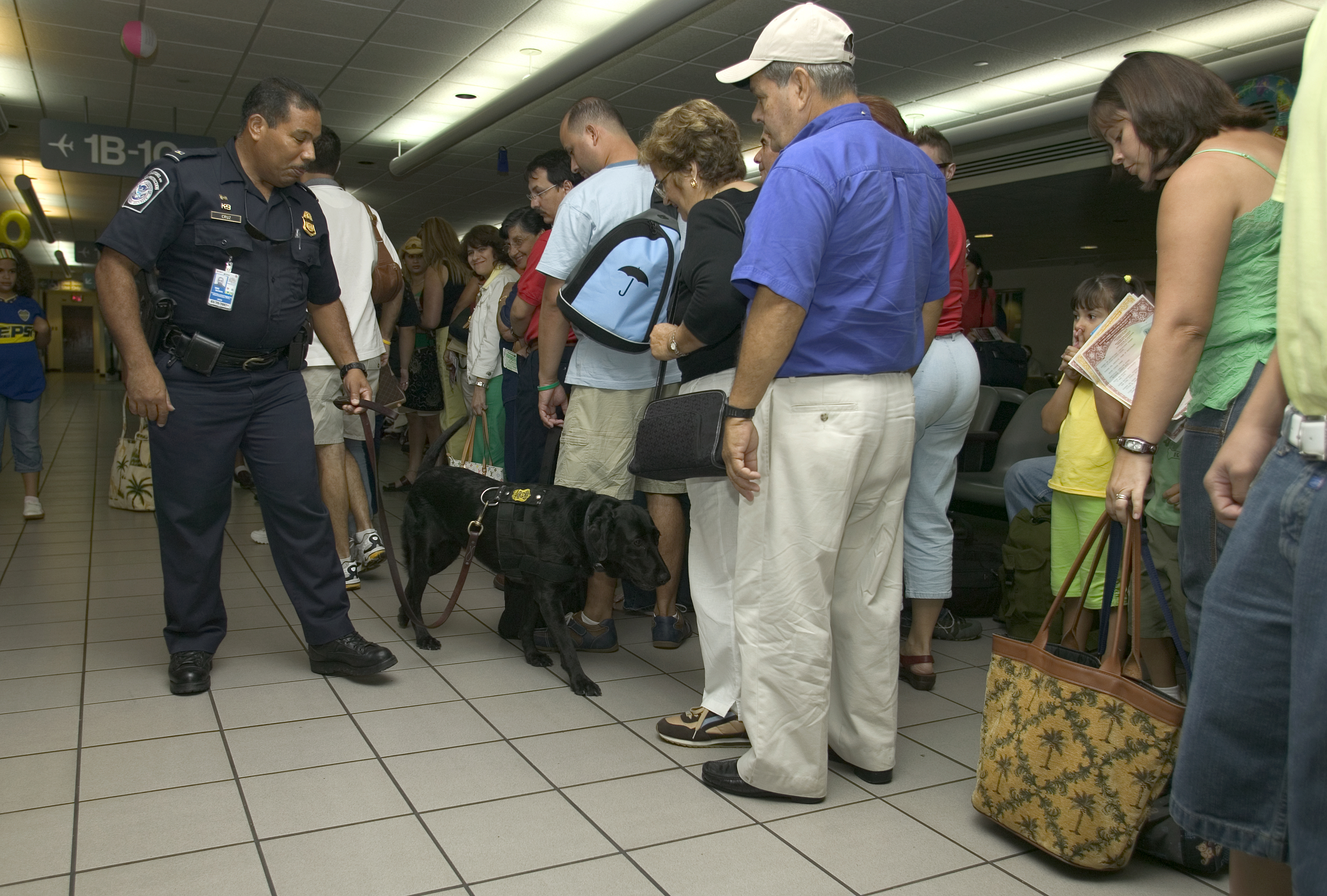 A CBP canine officer screens airport passengers luggage for unlawful or dangerous items.