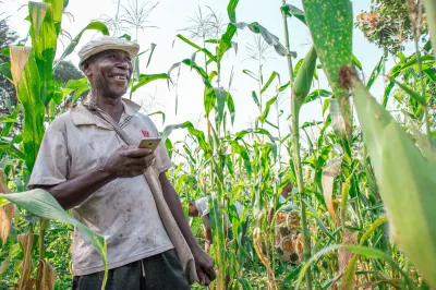 Man holds mobile phone in a field