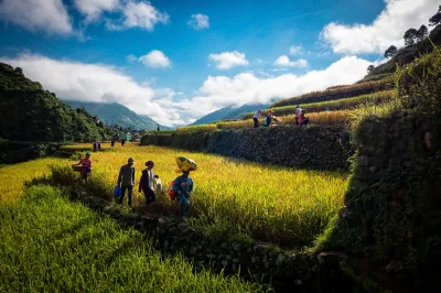 farmers walking through a field of crops