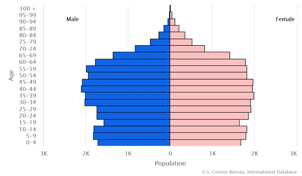 2023 population pyramid