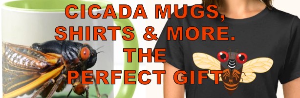 Cicada T-shirts