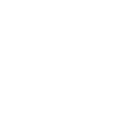 City of Boise Logo