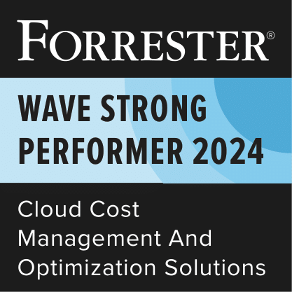 Forrester Wave Strong Performer 2024