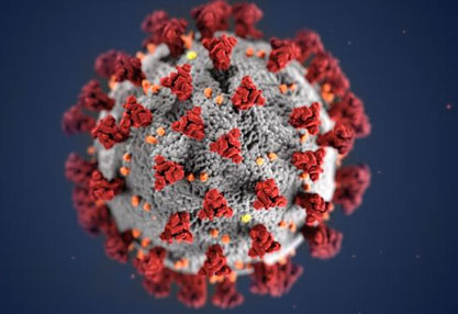 omh-covid-virus