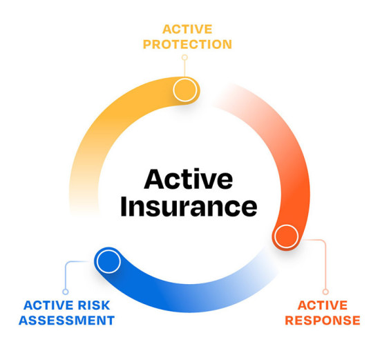 Coalition Active Insurance Flywheel