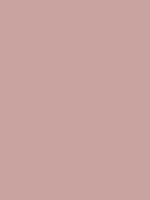 #c9a39f color image