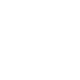 YouTube icon