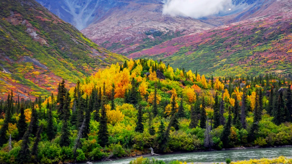 Fall foliage and brilliant colors mark the changing seasons in Denali National Park